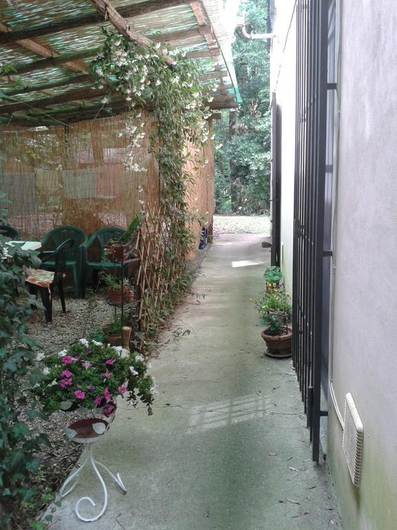 Park View Country House B&B Capannori Exterior foto