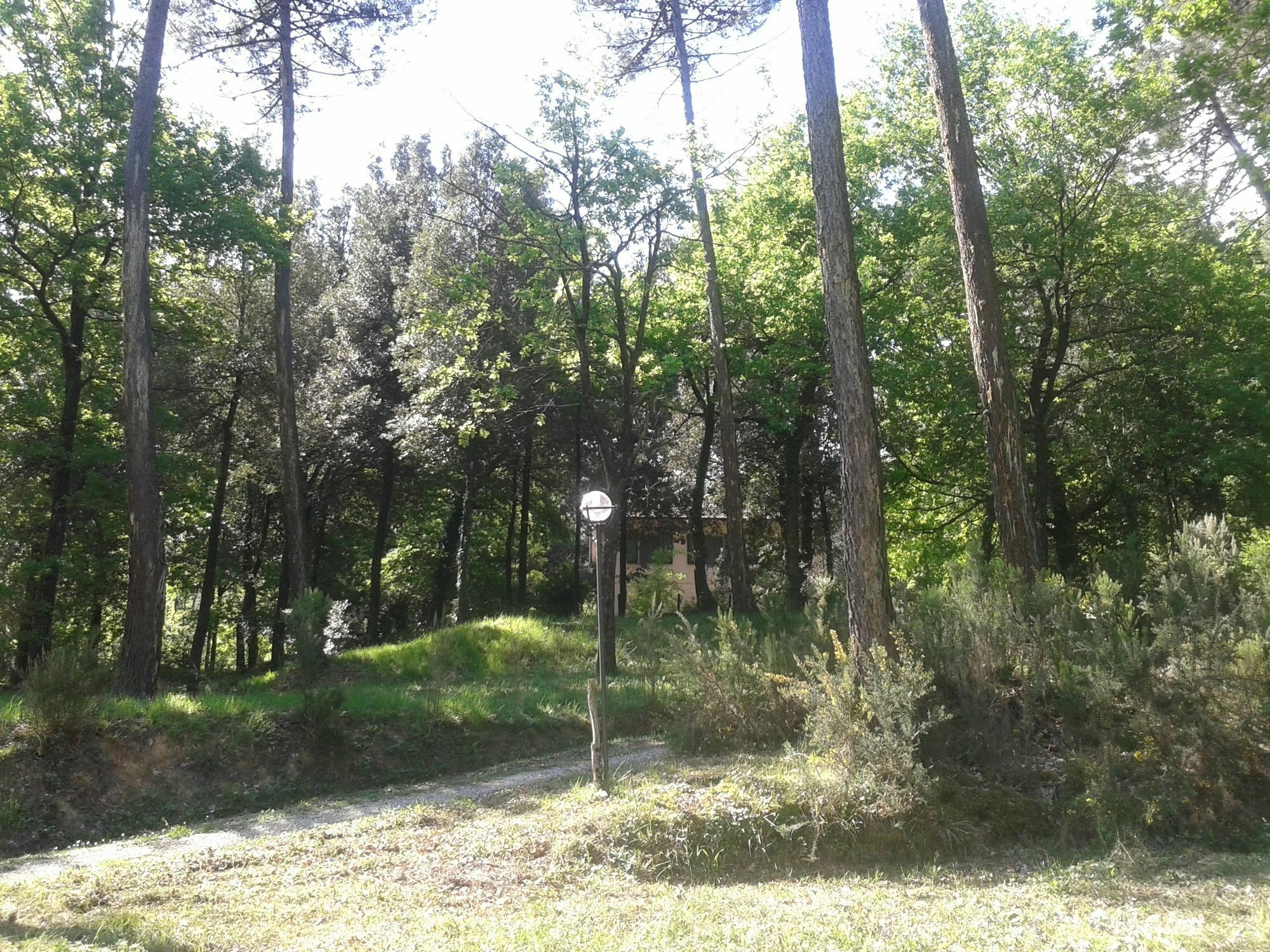 Park View Country House B&B Capannori Exterior foto